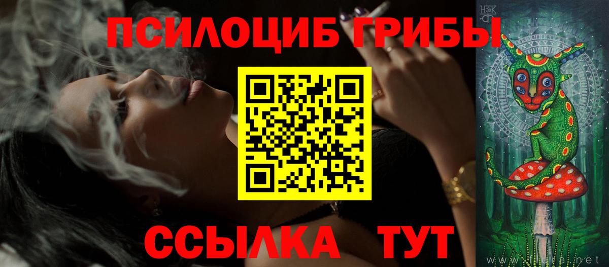 купить наркотик  Вход с VPN  Ачхой-Мартан  Псилоцибиновые грибы Cubensis 